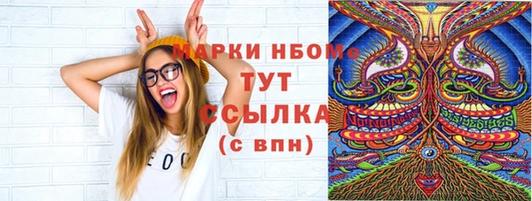 гашик Надым