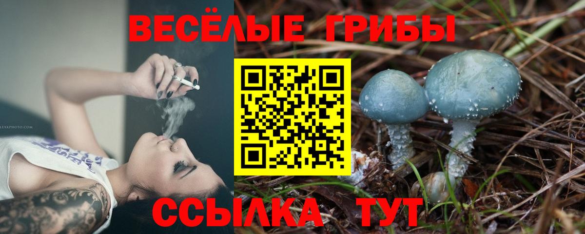 Псилоцибиновые грибы GOLDEN TEACHER  Вход с VPN  Рязань 